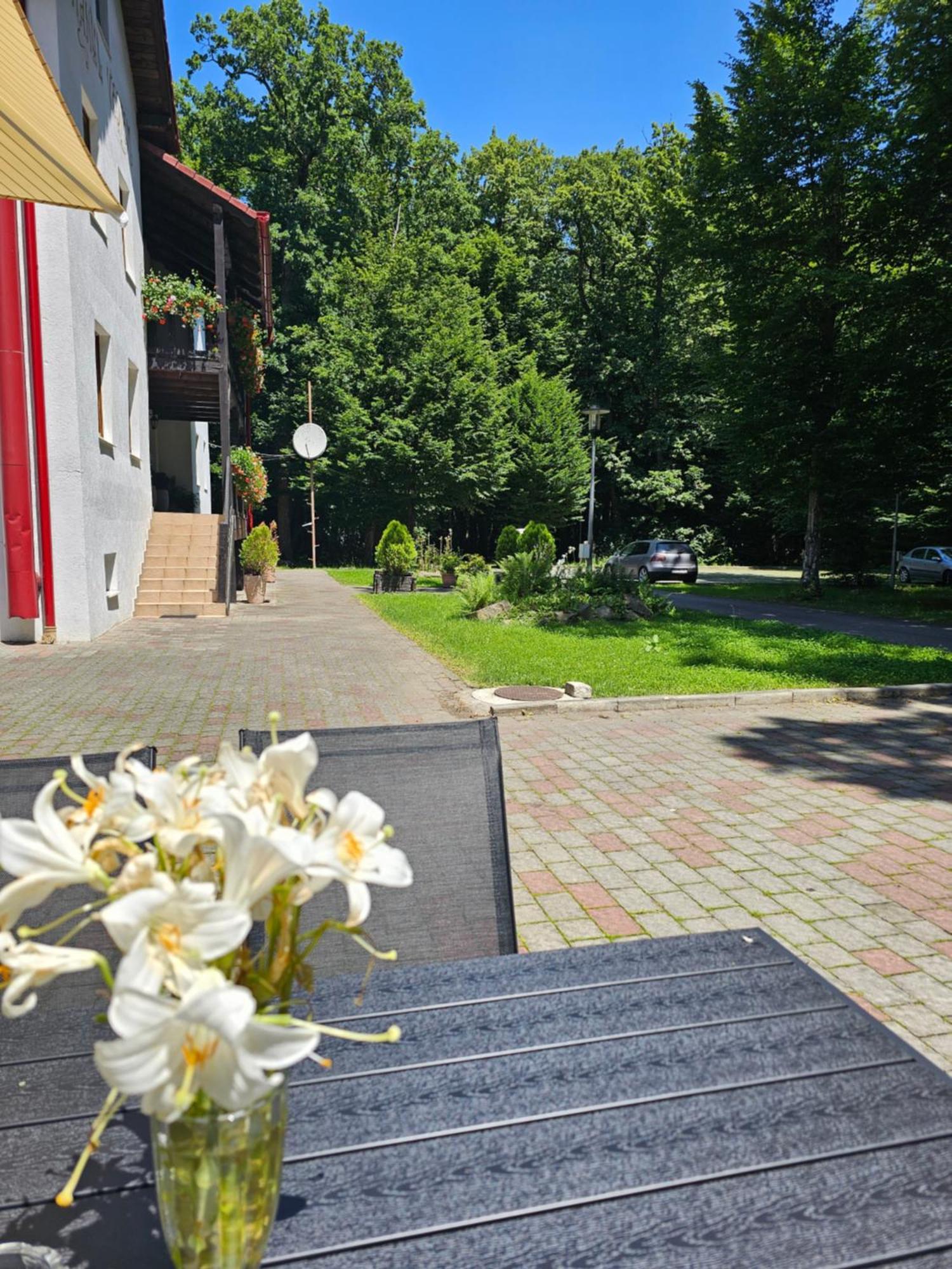 Hanul Vestem Сібіу Екстер'єр фото